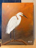 White egret