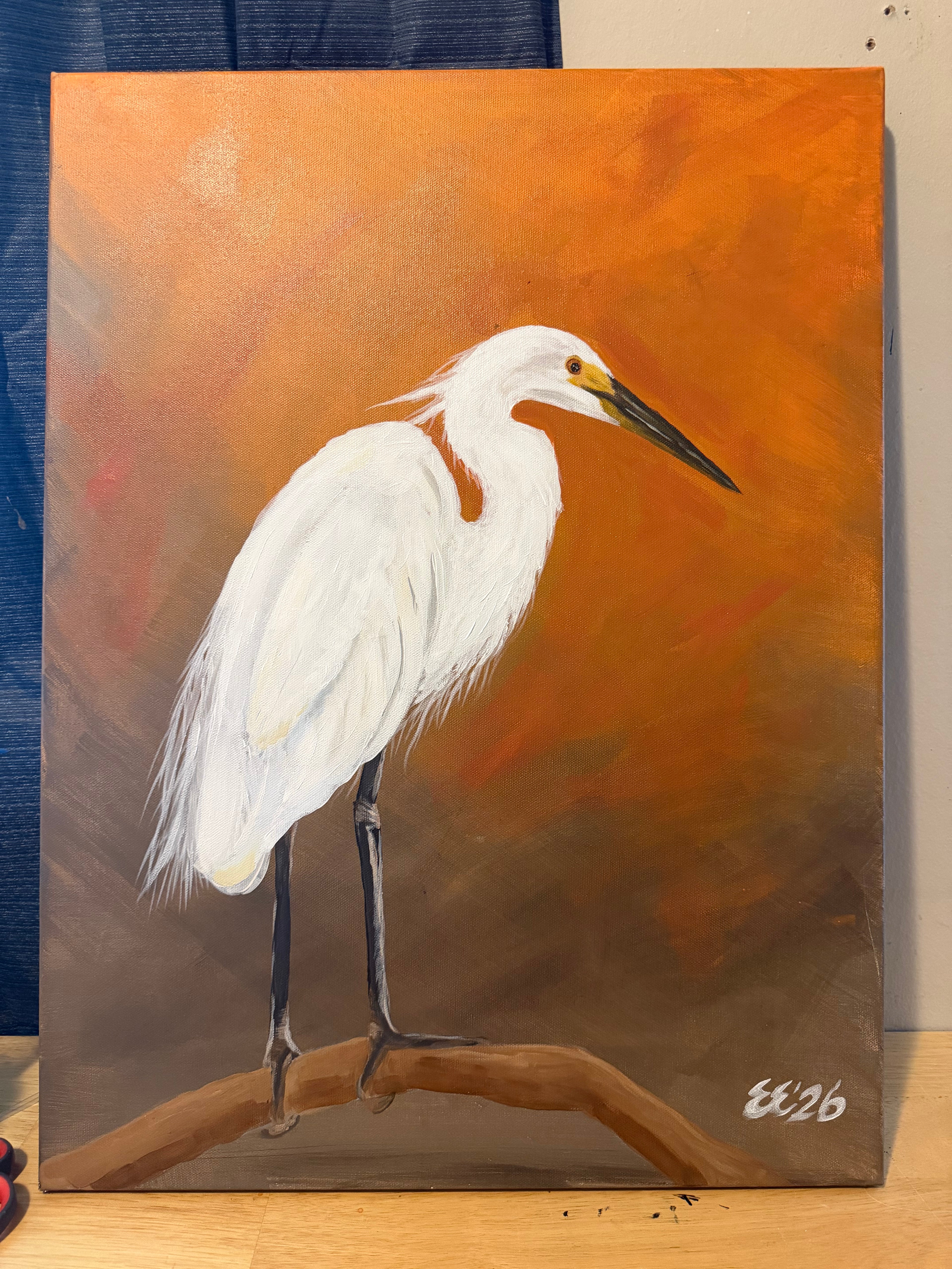 White egret