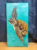 Sea turtle on turquoise