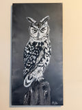 Monochrome owl