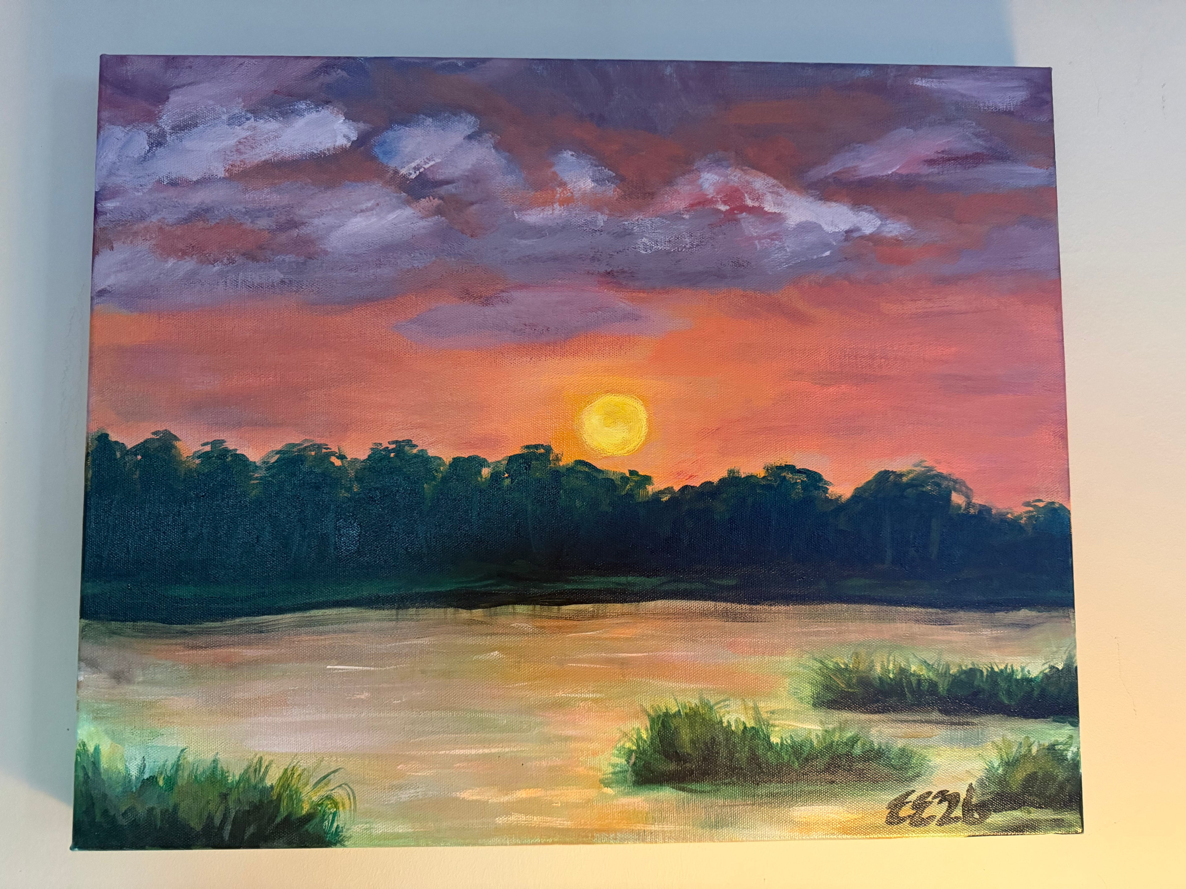 Marsh sunset